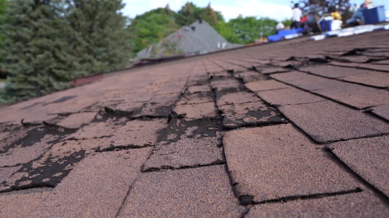 Best Chimney Flashing Repair  in Moreland Hills, OH